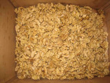 Walnut Kernel (04)