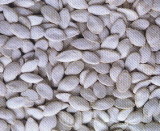 Pumpkin Seeds Snow White
