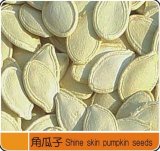 Shine Skin Pumpkin Seeds
