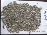 Sunflower Seeds (6009)