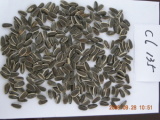 Sunflower Seeds (135)