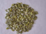 Pumpkin Seed and Kernels