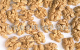 Walnut Kernel