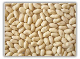 Blanched Peanut Kernels Virginia Type/Long Type
