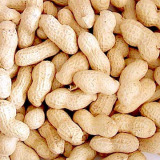  Peanut  in  Shell   11 / 13 