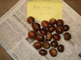 Chinese Chestnut (60