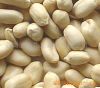 Blanched Peanut (25/29)