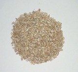 Sunflower Seeds and Kernels