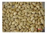 Blanched Peanut Kernels