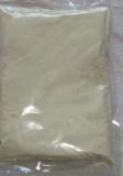  Ginkgo   Powder 