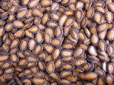 Water Melon Seeds