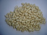 Blanched Peanut Kernel