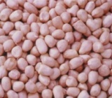 Peanut Kernel