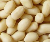 Blanched Peanuts