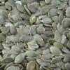 Pumpkin Seeds Kernel