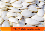 White Pumpkin Seeds
