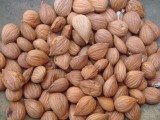 Bitter / Sweet Almond