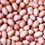 Blanched Peanut Kernels