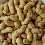 Roasted Peanut in Shell