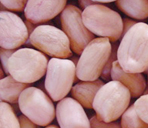 Round Peanut Kernels