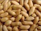 Fried Peanut Kernels