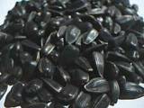 Oil Sunflower Seeds