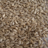 Seeds, Nuts
