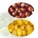 Frozen Peeled Chestnut