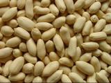 Blanched Peanut Kernels