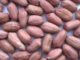 Raw Peanuts Kernels