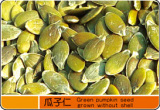 Pumpkin Seeds Kernels