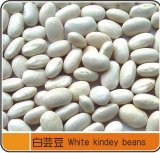 White Kidney Beans