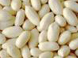 Blanched Peanut Kernel