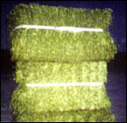 Alfalfa Bale