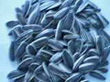 Sunflower Seeds