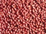 Peanut Kernels 3