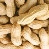 Peanut in Shell