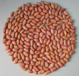 Peanut Kernels