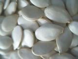  Snow   Pumpkin  Seeds