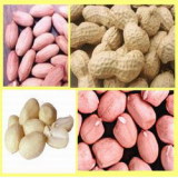 Hebei Peanut