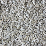 Sunflower Kernels