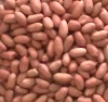  Roasted  Peanut