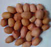Peanut of Hsuji Type