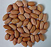 Peanut Of Virginia Type