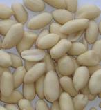 Blanched Peanuts