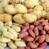 Peanut