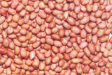 Peanuts