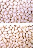 Blanched Peanuts