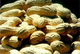 Peanut Kernels