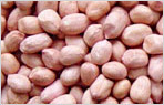 Groundnut Kernels